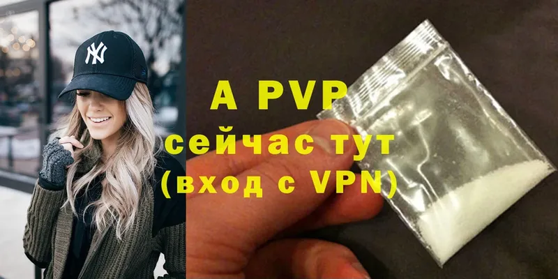 A PVP СК КРИС  Апатиты 